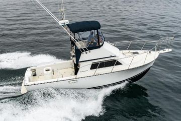 2002 Blackman Flybridge 29