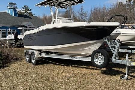 Robalo R200 Center Console 2025 Robalo 200 CC boat on trailer, parked on grass near a blue building.