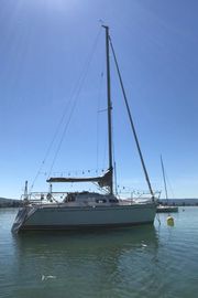 2008 Delphia 29