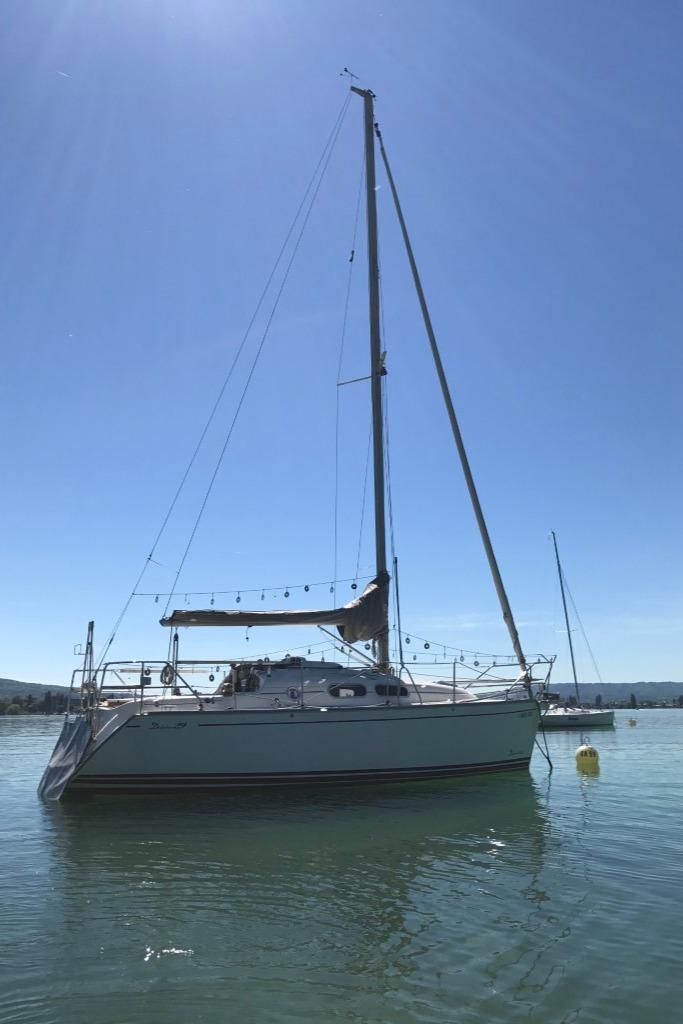 2008 Delphia 29