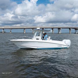 2010 Boston Whaler 250 Outrage