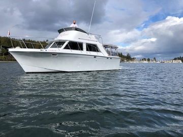 1977 Uniflite Bridge Cruiser