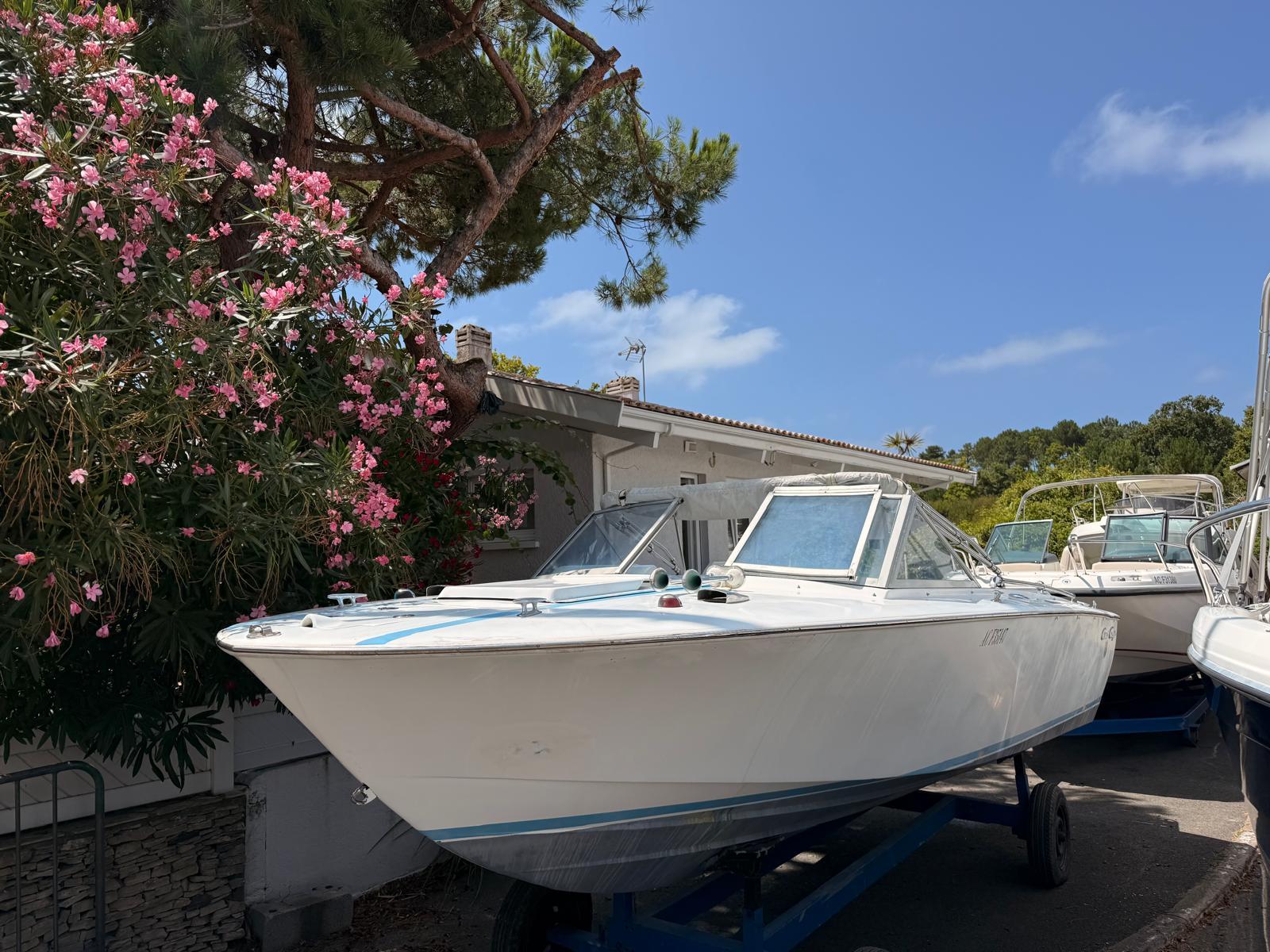 Chris-Craft Lancer 19 2015 Chris-Craft Lancer 19 boat on trailer, surrounded by trees and flowers.