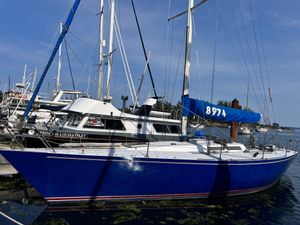 Peterson 41 1983 Peterson 41 sailboat docked in marina, blue hull, clear sky background.