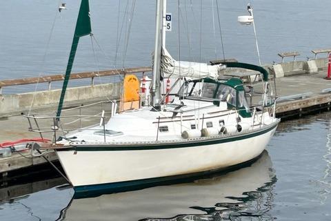 1987 Caliber 33