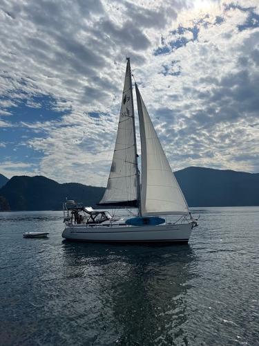 Bavaria 36