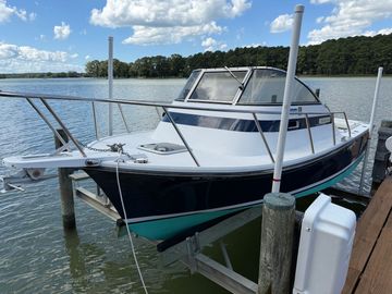 1993 Shamrock Predator Cudy Cabin 20