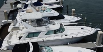 1995 Sea Ray 550 Sedan Bridge