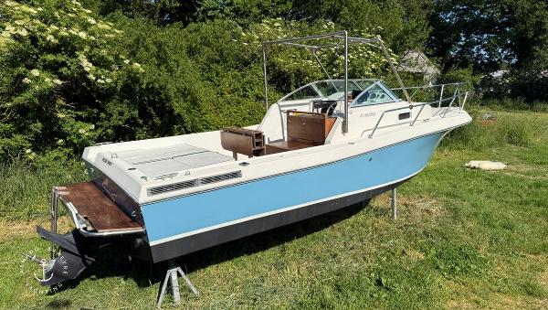 1999 White Shark 237