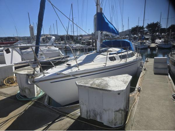 Catalina 30 1983 Catalina 30 sailboat docked in a marina, featuring a blue sail cover.