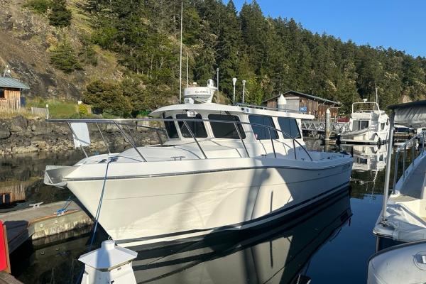 2010 Ocean Sport Roamer