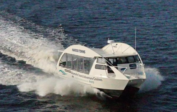 2023 Smoky Mountain Asymmetrical foil assisted catamaran