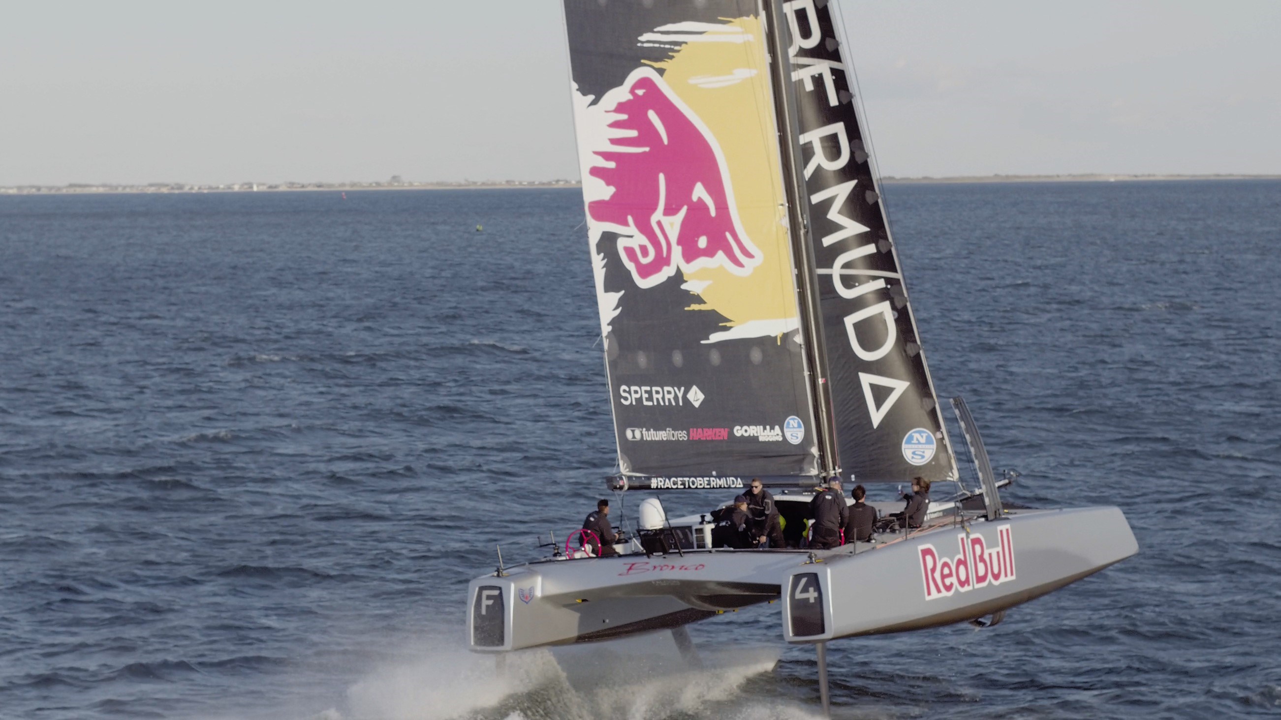 2016 DNA F4 Foiling Cat