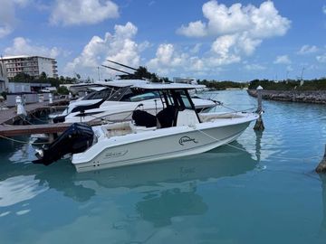 2024 Boston Whaler 250 Outrage