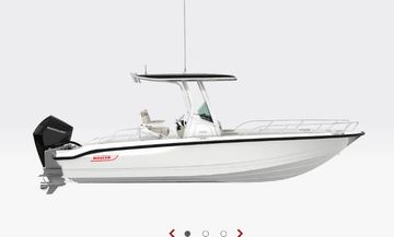 2025 Boston Whaler 250 Dauntless
