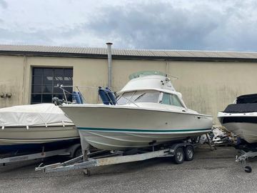 1972 Riva Bertram 25 SPORT FISHERMAN