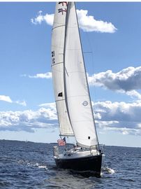 2008 Schock Harbor 25