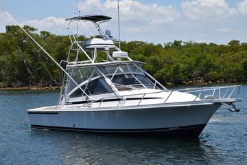 1995 Blackfin 33 Combi