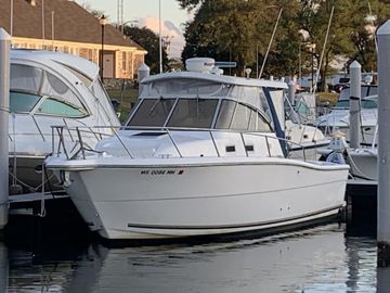 2000 Shamrock 290 Walkaround