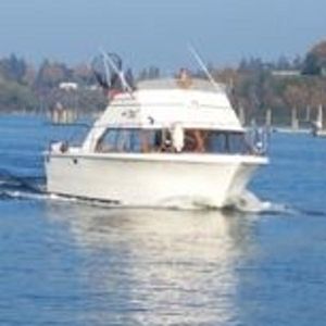 Carver Boats For Sale Boats Com
