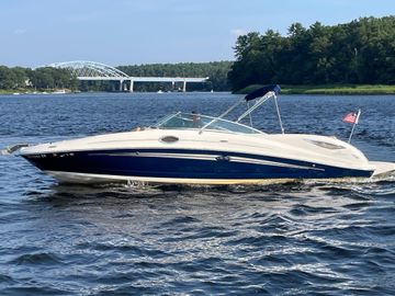 2011 Sea Ray 300 Sundeck