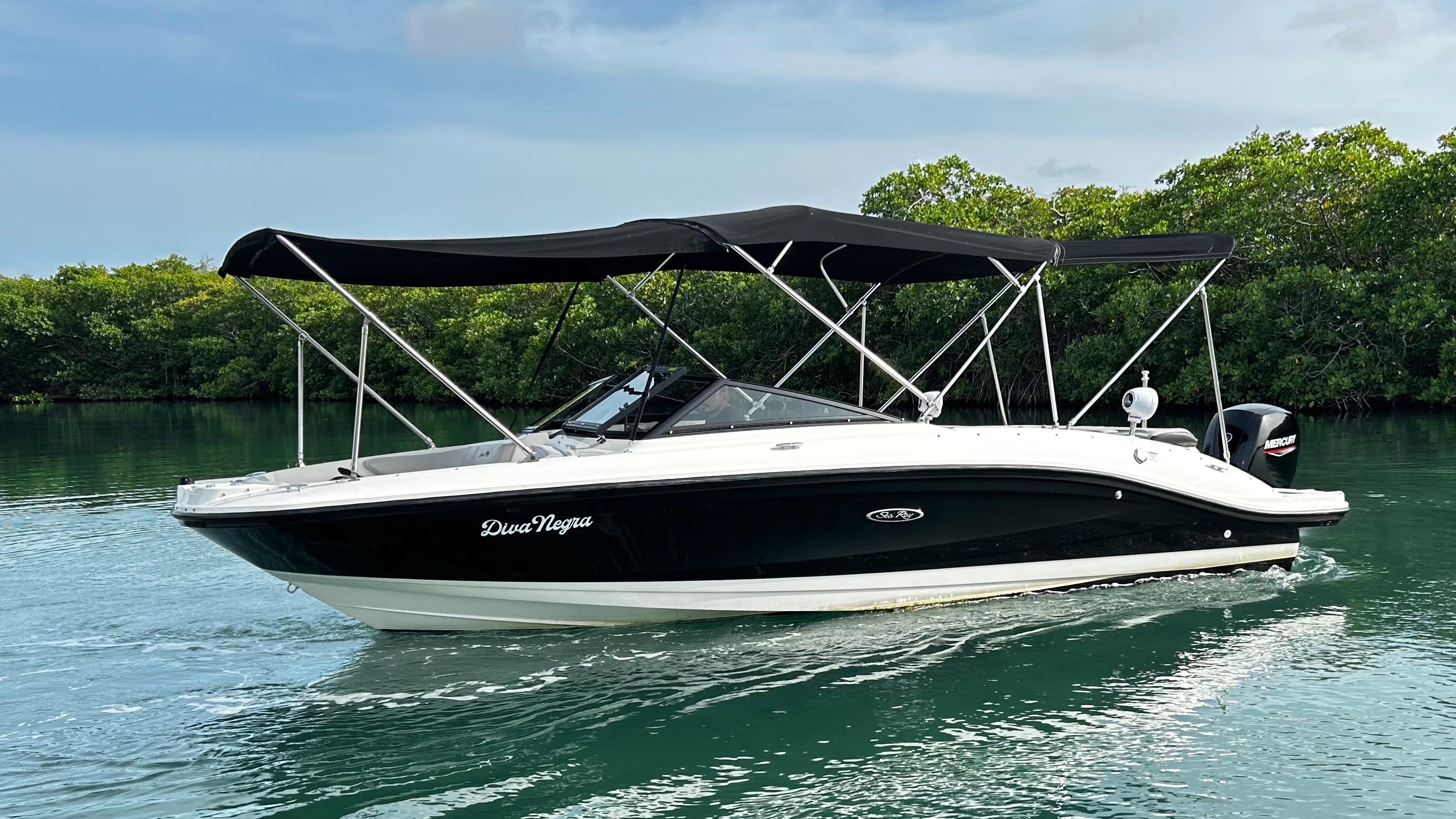Sea Ray SPX 210 Outboard