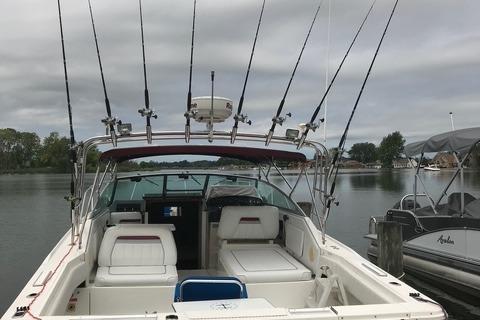 1992 Sea Ray 310 Amberjack