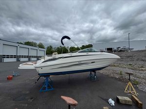 Sea Ray 240 Sundeck