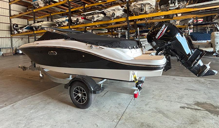 Sea Ray SPX 190 Outboard