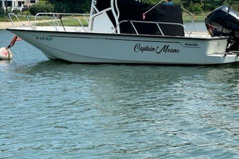 Boston Whaler 210 Montauk