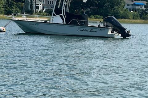 2019 Boston Whaler 210 Montauk
