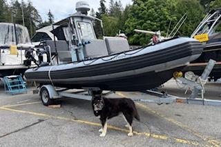 1995 Hurricane H640
