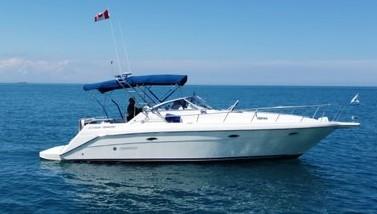 1995 Rinker 300 Fiesta Vee