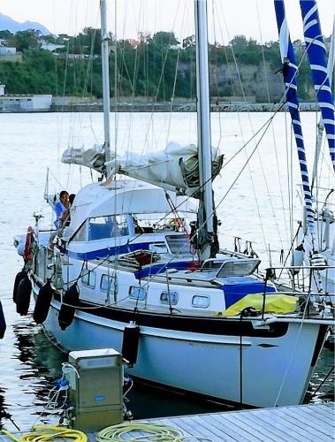 1980 Hallberg-Rassy 41