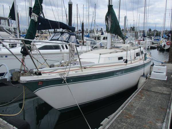 1979 CAL 31
