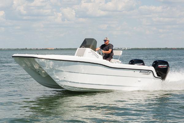 2025 ArrowCat 20 CC