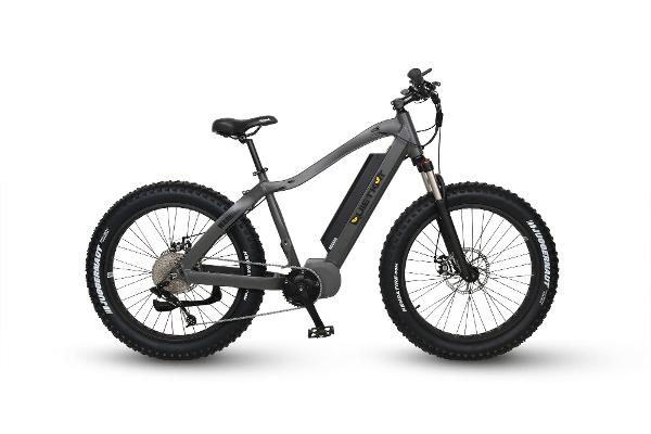 bass pro electric bike