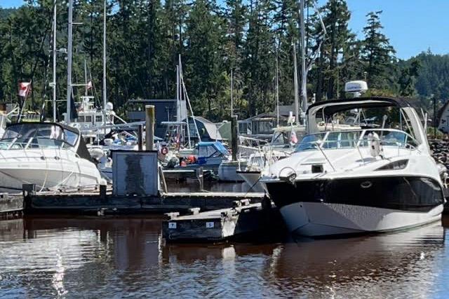 Bayliner 285 2011 Bayliner 285 boat docked in a marina with surrounding trees and other boats.