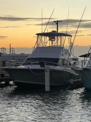 1994 Luhrs 380 Tournament