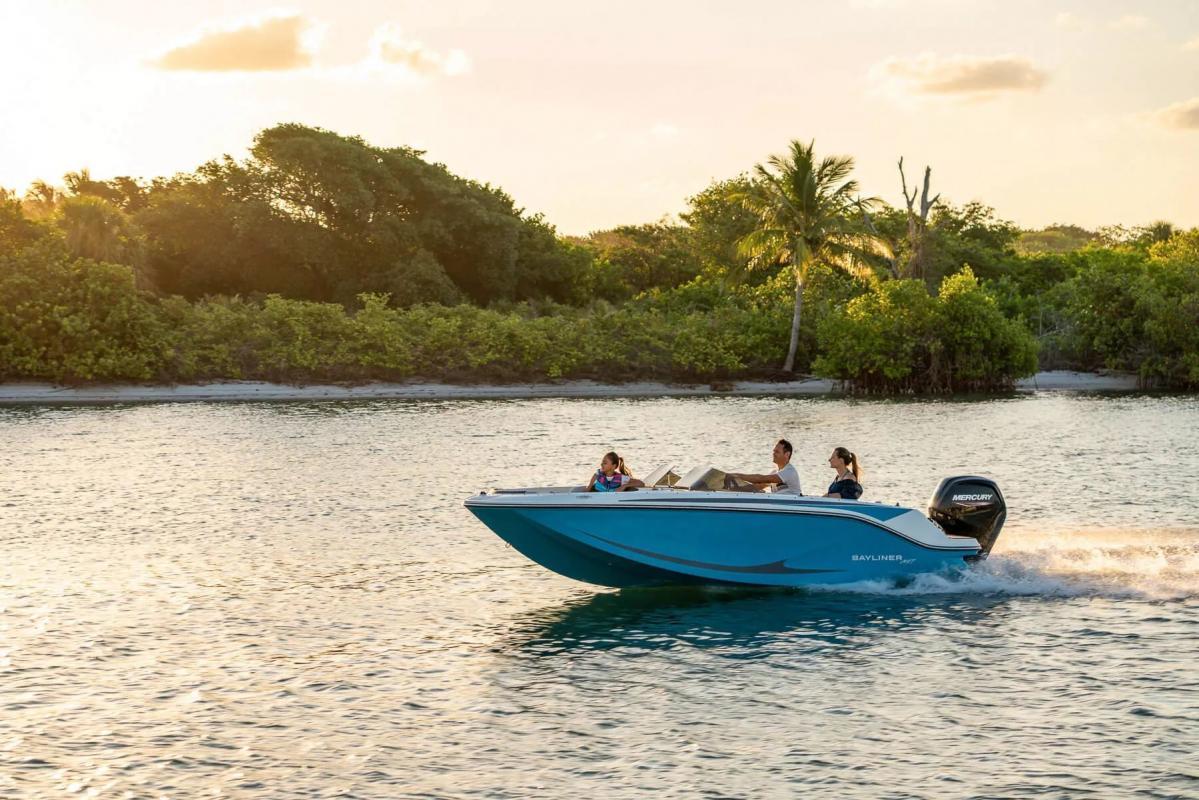 2024 Bayliner BAYLINER ELEMENT M17
