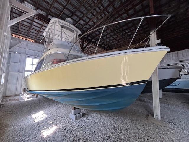 Bertram 31