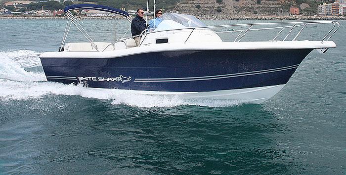 2010 White Shark 268