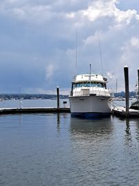 1980 Bertram 58 Motor Yacht