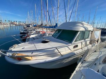 2010 Ocqueteau 885