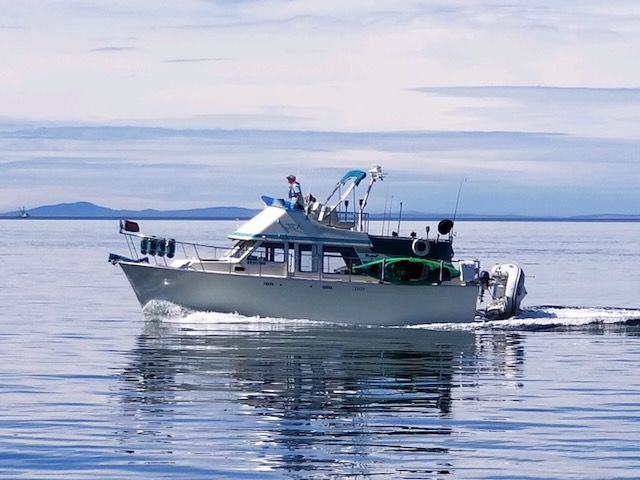 1979 Tollycraft 34 Tri-Cabin