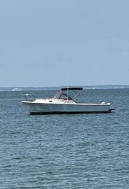 1984 Surf-Hunter 25