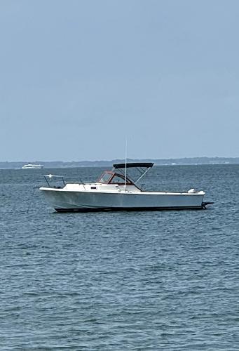1984 Surf-Hunter 25