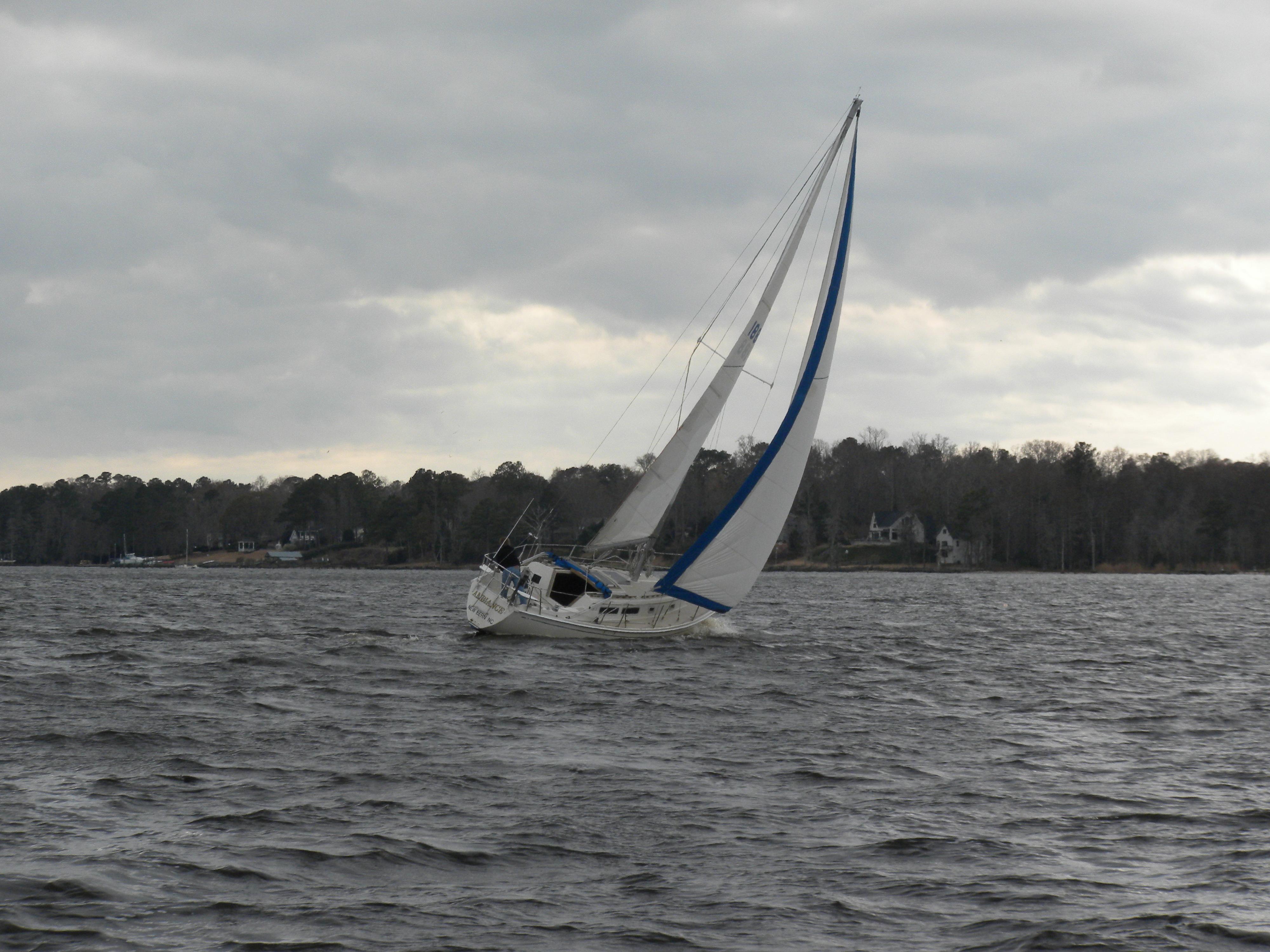 Cal sailboats for sale discount