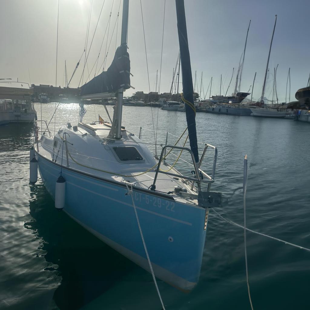 Custom Dauphine 24