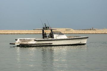 2018 Wally Wally 45